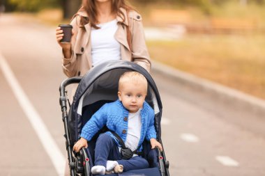 Bebek arabasında bir kadın ve sevimli bebeği.