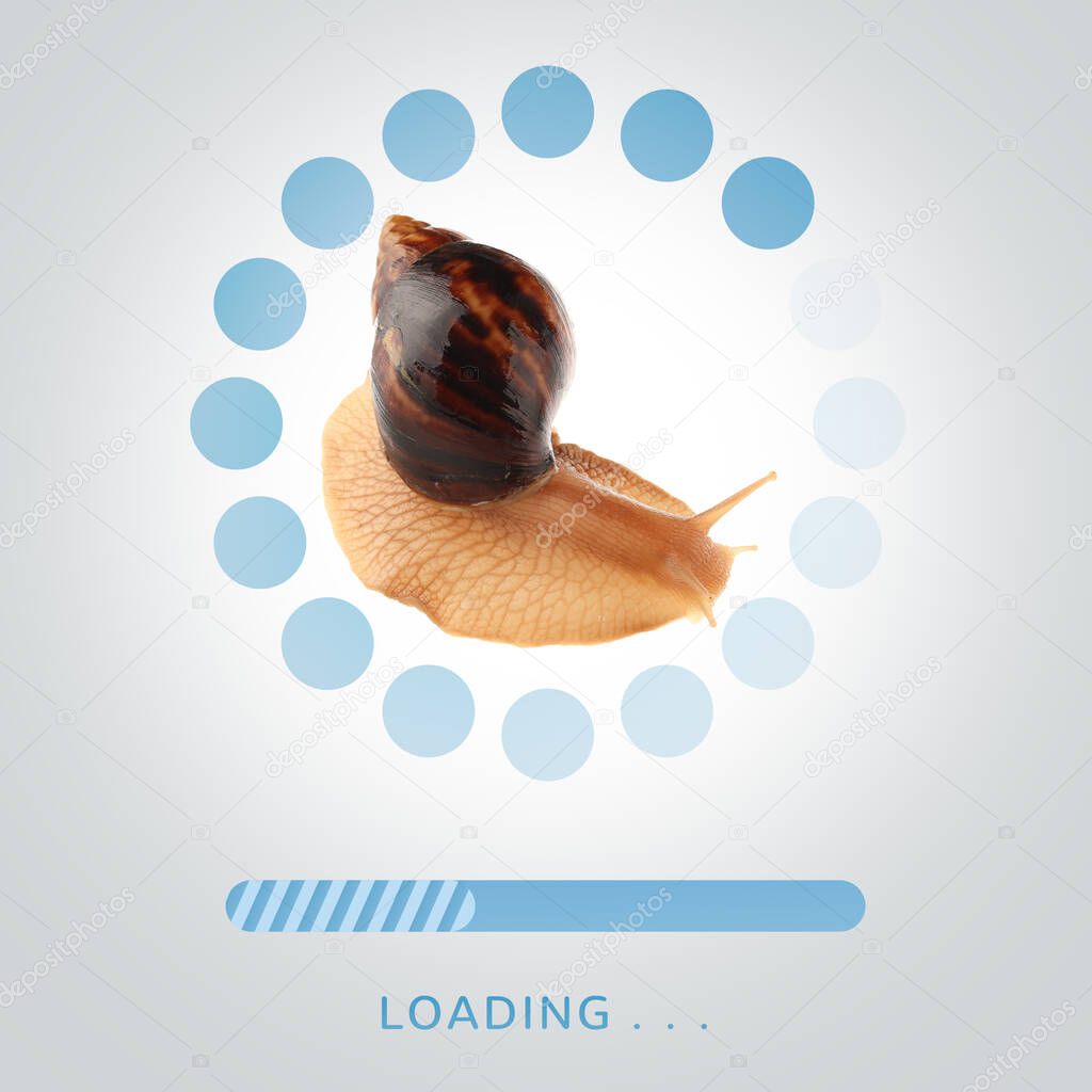 Giant Achatina snail with loading bar on light background