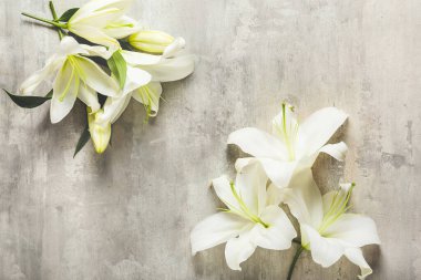 Açık arkaplanda güzel zambaklar