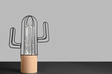 Gri arka planda çelengi olan şık kaktüsler.