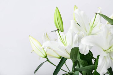 Aydınlık arkaplanda güzel zambak çiçekleri, yakın plan