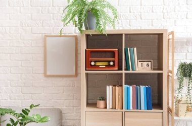 Kitaplı modern raf ünitesi ve odanın içinde retro radyo alıcısı.