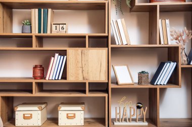 Kitaplı ve dekorlu modern raf birimleri, yakın plan