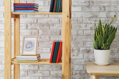 Odanın duvarına yakın modern raf ve ev bitkisi.