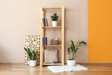 Raf üniteli modern odanın içi