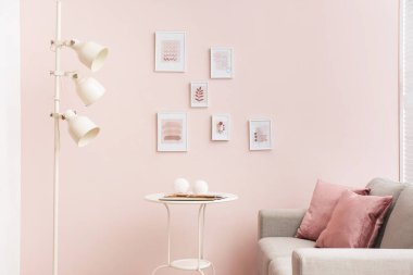 Kanepeli, şık bir oda.