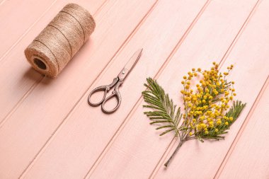 Renkli ahşap zemin üzerinde makas ve ipliklerle güzel açan mimoza dalı