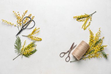 Beyaz arka planda makas ve ipliklerle güzel mimoza çiçekleri