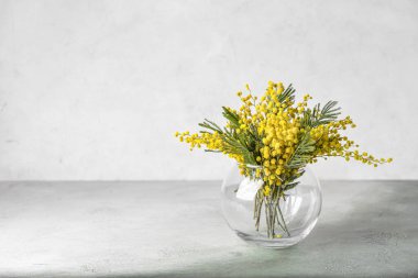 Gri arka planda güzel mimoza çiçekleri olan vazo