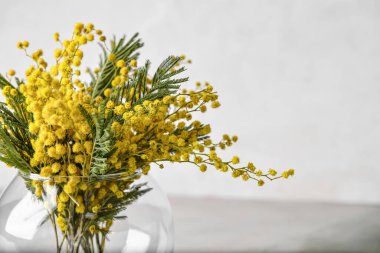 Gri arka planda güzel mimoza çiçekleri olan vazo