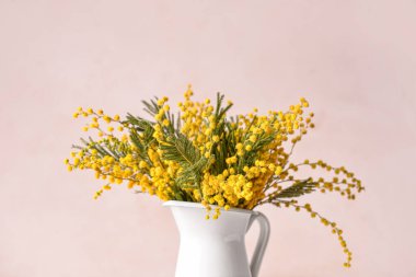 Hafif arka planda güzel mimoza çiçekleri olan sürahi.