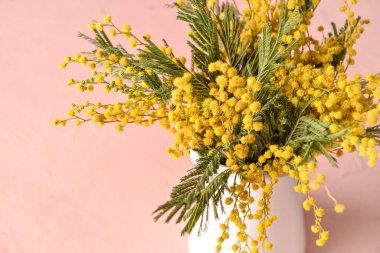 Renkli arka planda güzel mimoza çiçekleri olan sürahi, yakın plan.