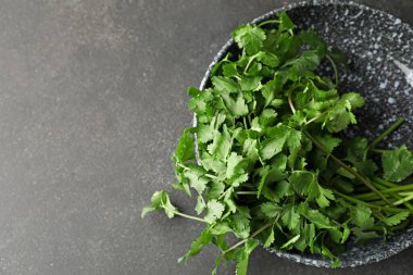 Koyu arkaplanda taze kişniş tabakası