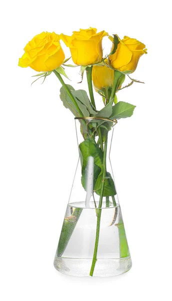 Vase Fresh Yellow Roses White Background — Stock Photo, Image