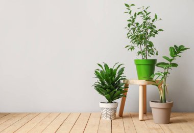 Ahşap tezgah ve hafif arka planda bitkiler