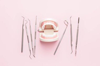 Dişçi araçları ve çene modeli renk arkaplan