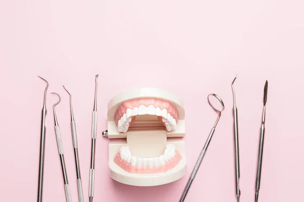 Εργαλεία Οδοντίατρου Και Μοντέλο Γνάθου Φόντο Χρώματος — Φωτογραφία Αρχείου
