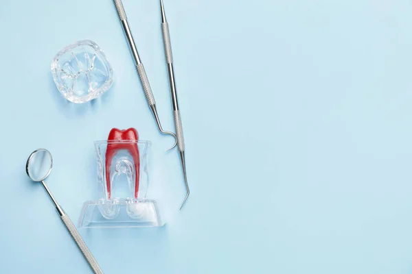 Dentist Tools Model Tooth Color Background — Stock Photo, Image