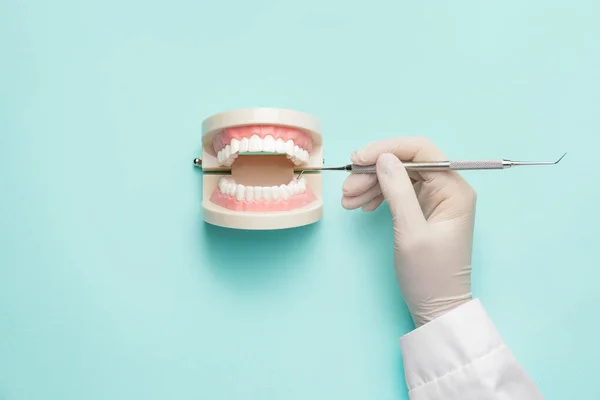 Dentista Com Ferramenta Modelo Mandíbula Fundo Cor — Fotografia de Stock