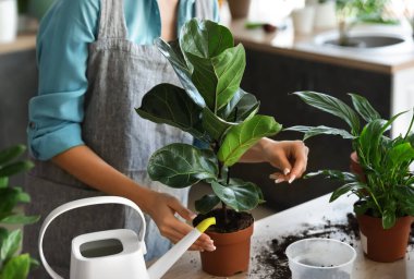 Evde çiçekleriyle ilgilenen genç bir kadın.