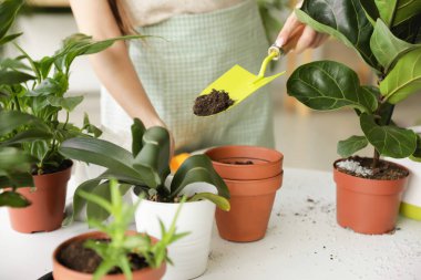 Evde çiçekleriyle ilgilenen genç bir kadın.