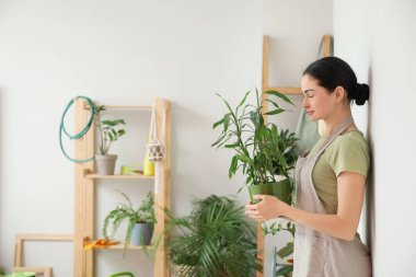 Genç bir kadın evde bitkisiyle ilgileniyor.