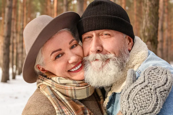 Happy Mature Couple Forest Winter Day — Stock Photo, Image