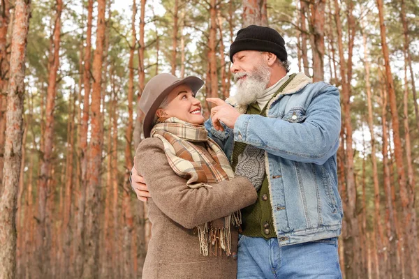 Happy Mature Couple Forest Winter Day — Stock Photo, Image