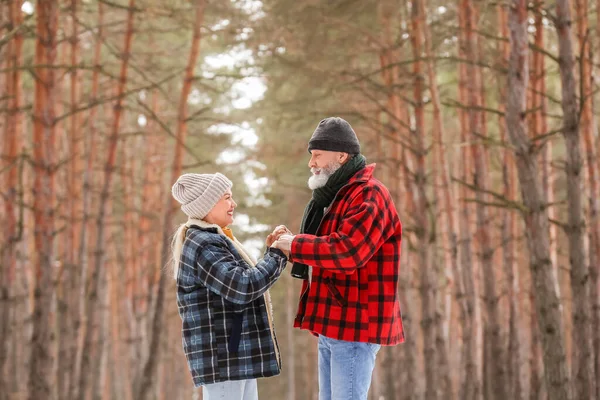 Feliz Casal Maduro Floresta Dia Inverno — Fotografia de Stock