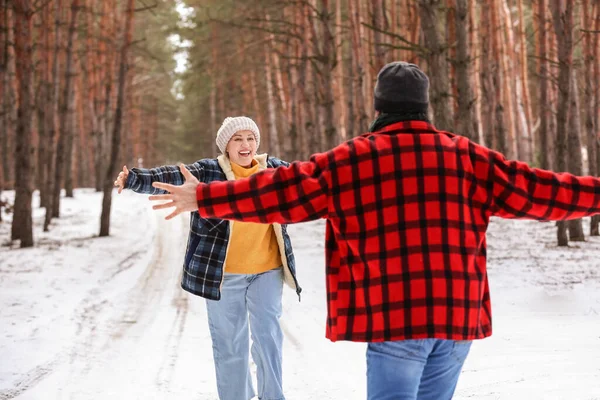 冬の日に森の中で幸せな成熟したカップル — ストック写真