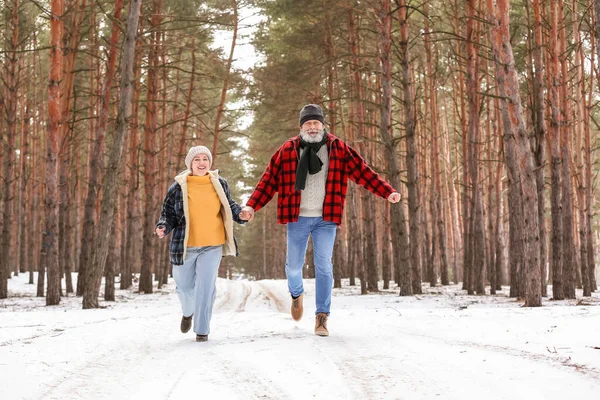 Feliz Pareja Madura Bosque Día Invierno — Foto de Stock