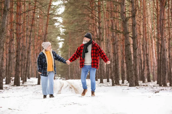 Glückliches Reifes Paar Wald Einem Wintertag — Stockfoto