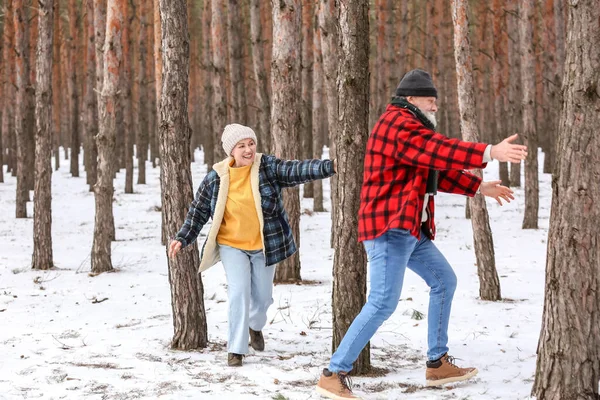 Happy Mature Couple Forest Winter Day — Stock Photo, Image