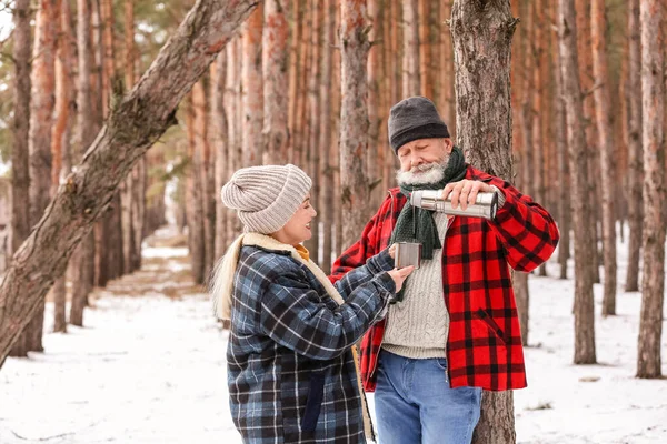 Happy Mature Couple Drinking Hot Tea Forest Winter Day — Stock Photo, Image