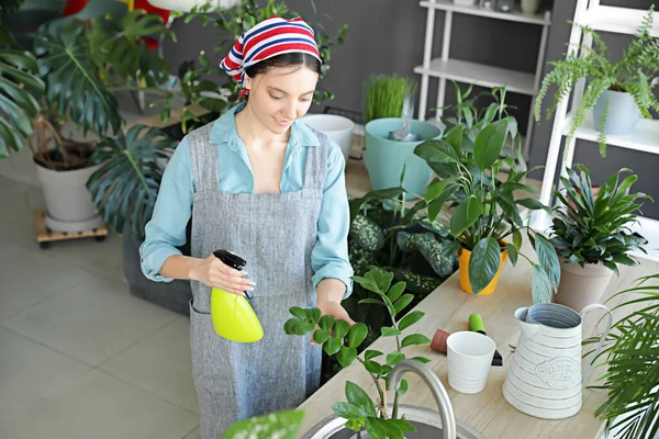 Young Woman Taking Care Her Plants Home — Stock Photo, Image