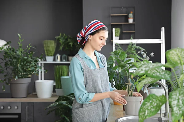 Ung Kvinna Tar Hand Sina Växter Hemma — Stockfoto