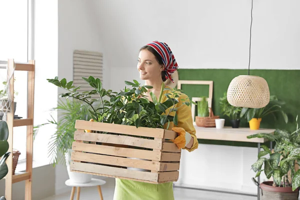 Young Woman Taking Care Her Plants Home — Stock Photo, Image