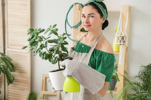 Young Woman Taking Care Her Plant Home — Stock Photo, Image