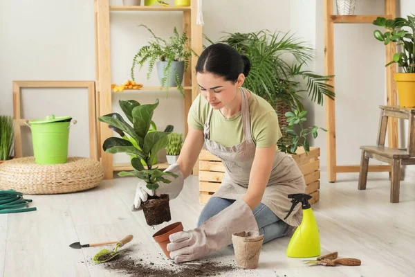 집에서 화초를 돌보고 — 스톡 사진