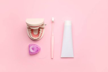 Diş fırçası, macun ve diş ipiyle renk arkaplanı üzerinde çene modeliName