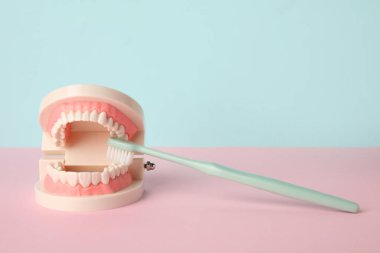 Arkaplanda diş fırçası olan çene modeliName