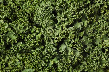 Arka plan olarak taze lahana.