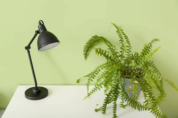Houseplant Lamp Table Room — Stock Photo, Image