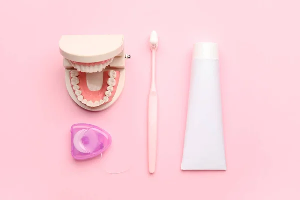 Modelo Mandíbula Com Escova Dentes Colar Fio Dental Fundo Cor — Fotografia de Stock