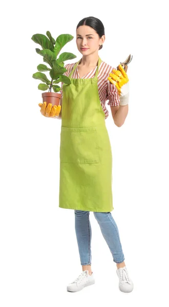 Young Female Gardener White Background — Stock Photo, Image