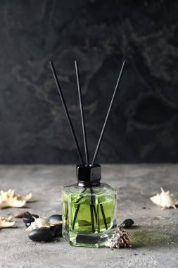 Grunge arka planında deniz kabukları ve taşlar olan Reed dağıtıcı