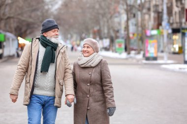 Mutlu olgun çiftler kış günü dışarıda