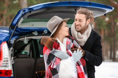 Kış günü arabanın yanında mutlu bir çift.