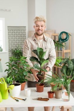 Evdeki bitkilerle ilgilenen genç adam.