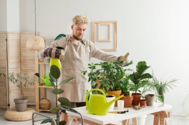 Evdeki bitkilerle ilgilenen genç adam.
